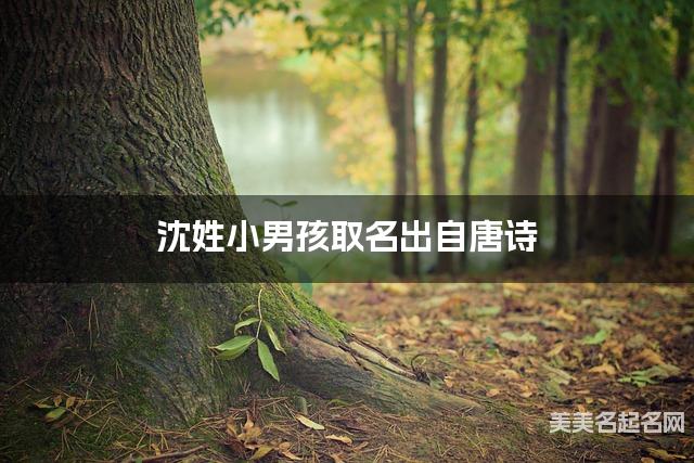 周易取名网 沈姓小男孩取名出自唐诗