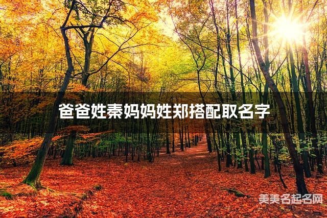 爸爸姓秦妈妈姓郑搭配取名字