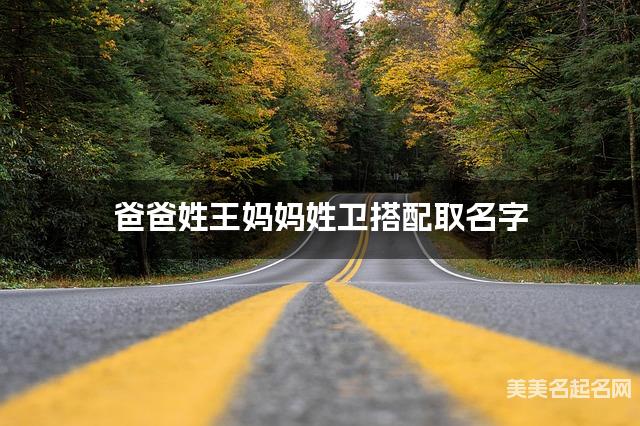 爸爸姓王妈妈姓卫搭配取名字