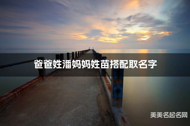 爸爸姓潘妈妈姓苗搭配取名字