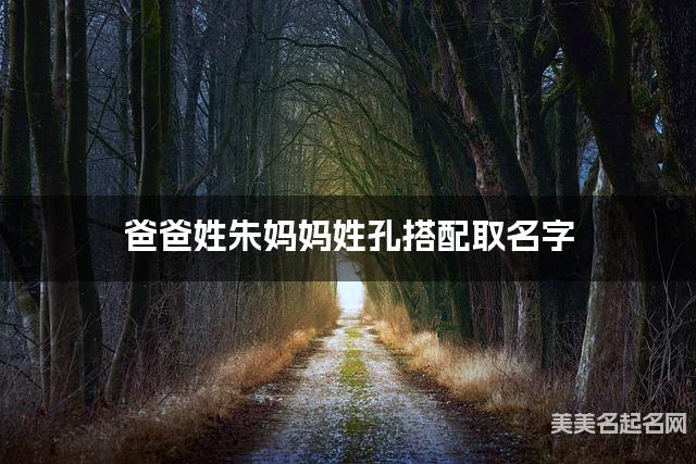 爸爸姓朱妈妈姓孔搭配取名字