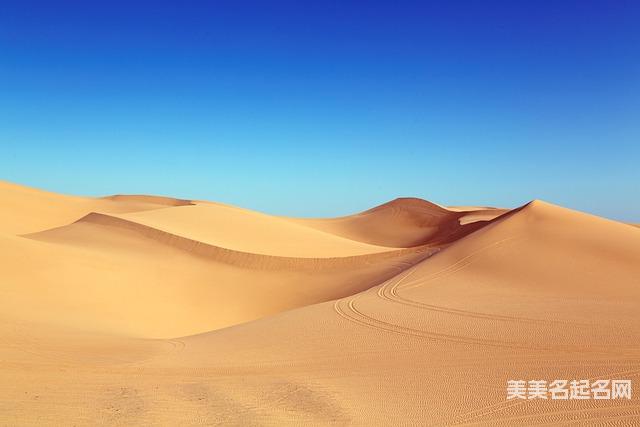 五行取名大全:2026精选带木的女宝名字