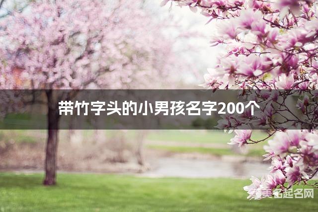 宝宝取名字大全 带竹字头的小男孩名字200个