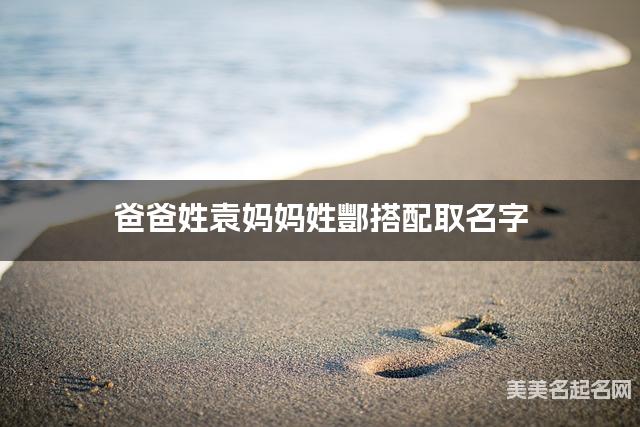 爸爸姓袁妈妈姓酆搭配取名字