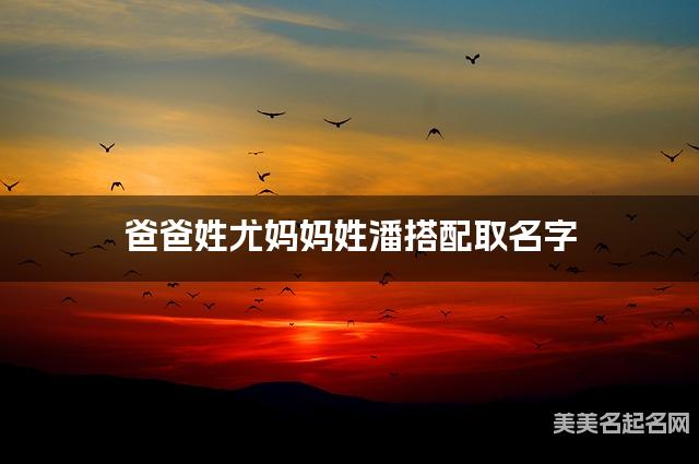 爸爸姓尤妈妈姓潘搭配取名字
