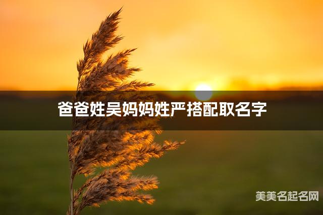爸爸姓吴妈妈姓严搭配取名字