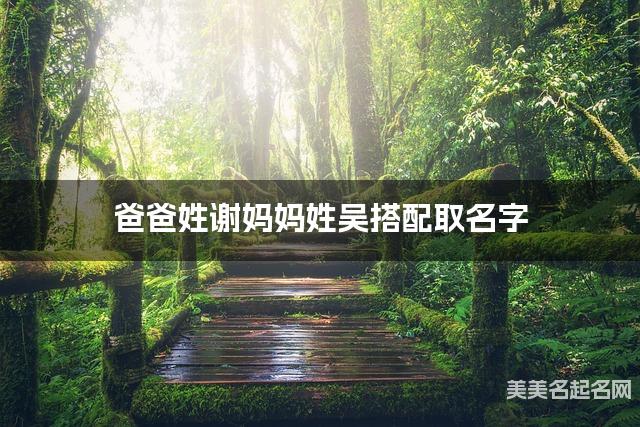 爸爸姓谢妈妈姓吴搭配取名字