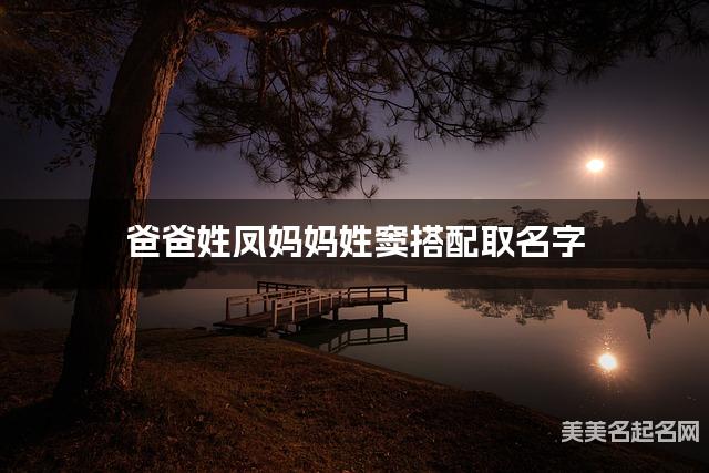 爸爸姓凤妈妈姓窦搭配取名字