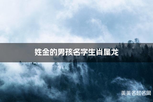 姓金的男孩名字生肖属龙 有气质的宝宝名字大全 姓金的男孩名字生肖属龙 有气质的宝宝名字大全