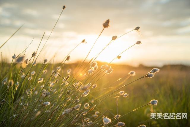 蛇年男孩起名有什么雅致好听的名字 蛇年男孩起名有什么雅致好听的名字