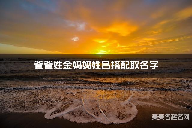 爸爸姓金妈妈姓吕搭配取名字