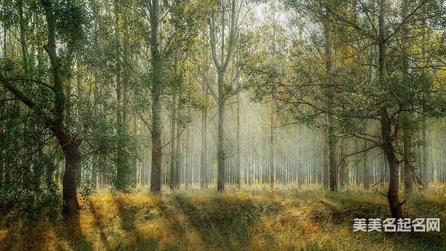 如何用唐诗给女宝宝起个简单好记的名字 如何用唐诗给女宝宝起个简单好记的名字