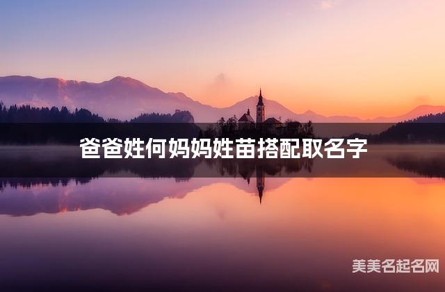 爸爸姓何妈妈姓苗搭配取名字