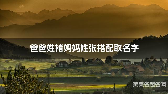 爸爸姓褚妈妈姓张搭配取名字