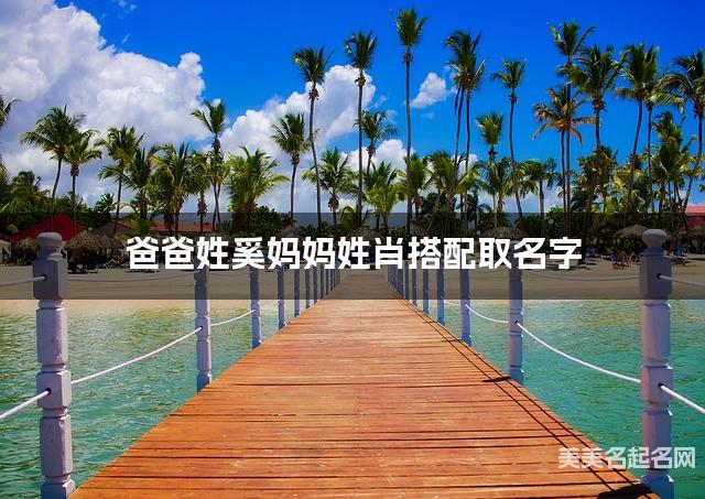 爸爸姓奚妈妈姓肖搭配取名字