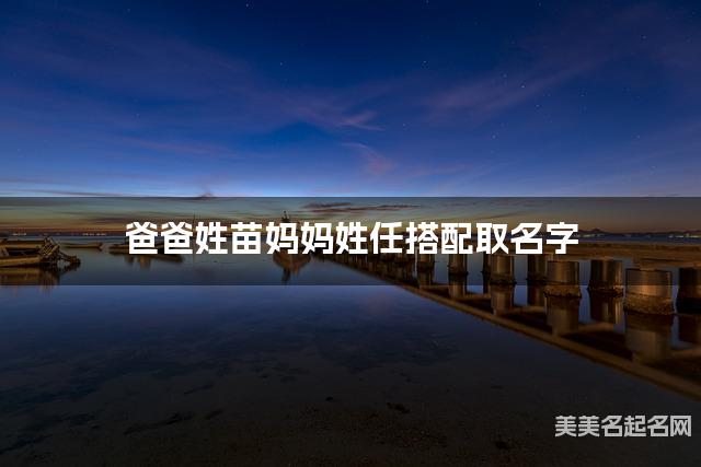 爸爸姓苗妈妈姓任搭配取名字