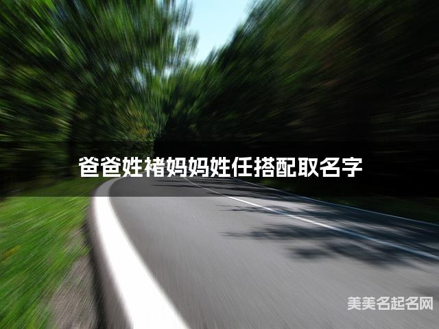 爸爸姓褚妈妈姓任搭配取名字