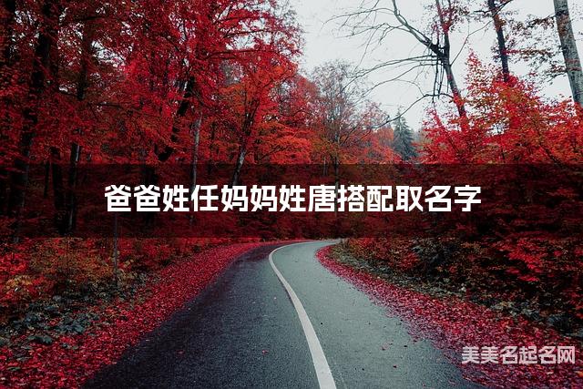 爸爸姓任妈妈姓唐搭配取名字