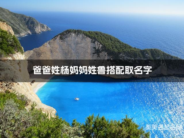 爸爸姓杨妈妈姓鲁搭配取名字