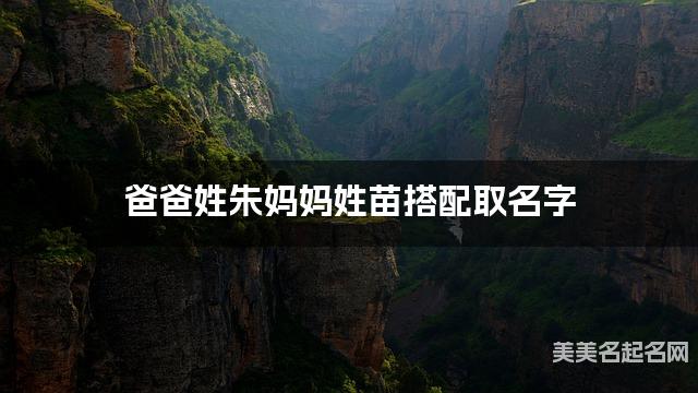 爸爸姓朱妈妈姓苗搭配取名字