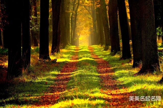 龙年宜用字 龙年宜用字