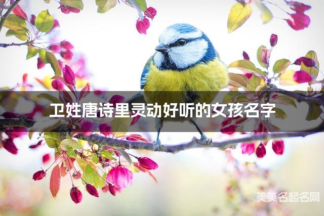 周易取名网 卫姓唐诗里灵动好听的女孩名字