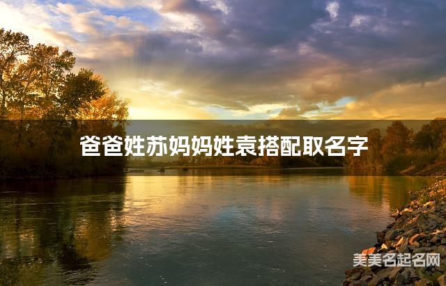 爸爸姓苏妈妈姓袁搭配取名字