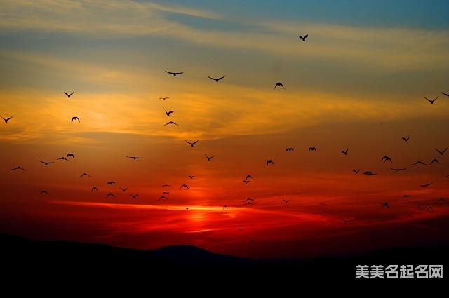 用古诗给葛姓宝宝起个格局大气的名字 用古诗给葛姓宝宝起个格局大气的名字