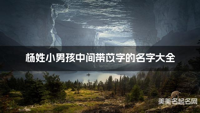 杨姓小男孩中间带苡字的名字大全 杨姓小男孩中间带苡字的名字大全