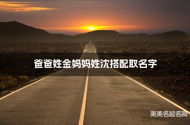 爸爸姓金妈妈姓沈搭配取名字