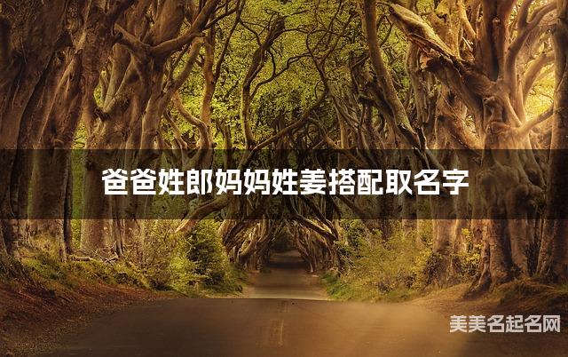 爸爸姓郎妈妈姓姜搭配取名字