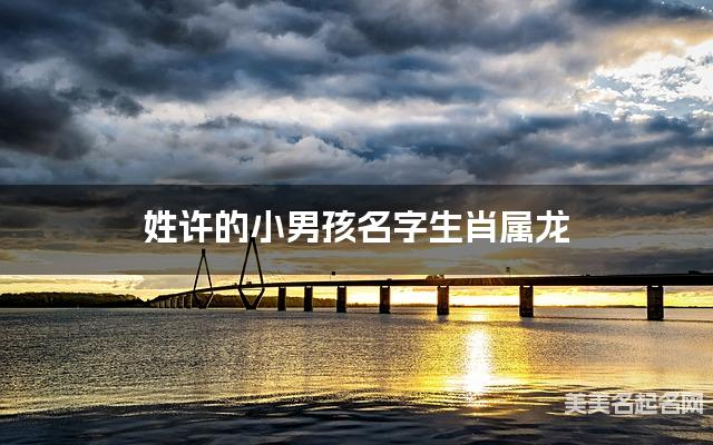 姓许的小男孩名字生肖属龙 有诗意的宝宝名字大全 姓许的小男孩名字生肖属龙 有诗意的宝宝名字大全