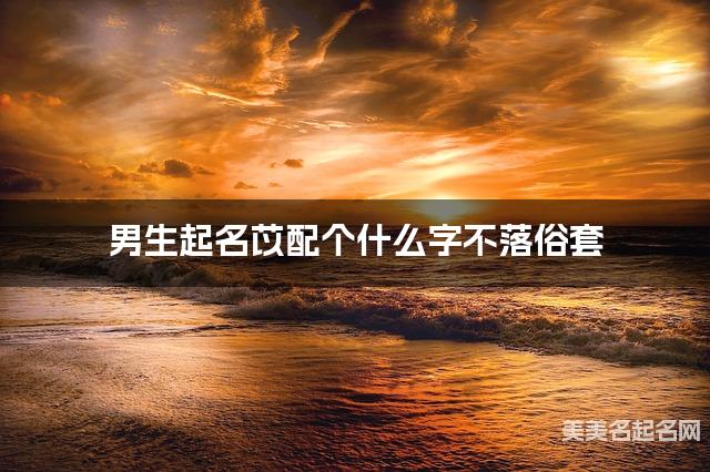 男生起名苡配个什么字不落俗套 男生起名苡配个什么字不落俗套