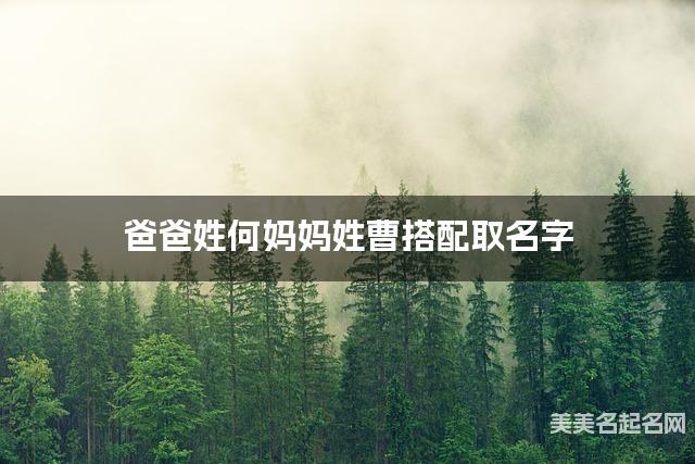 爸爸姓何妈妈姓曹搭配取名字