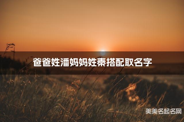 爸爸姓潘妈妈姓秦搭配取名字
