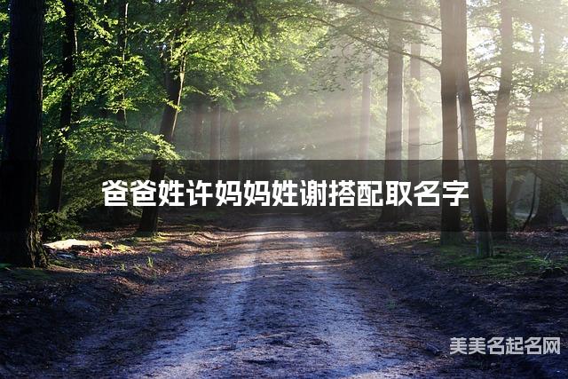 爸爸姓许妈妈姓谢搭配取名字