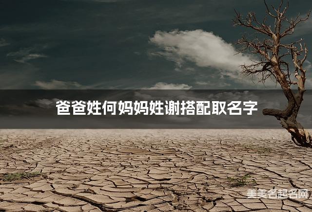 爸爸姓何妈妈姓谢搭配取名字