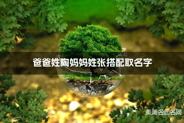 爸爸姓陶妈妈姓张搭配取名字