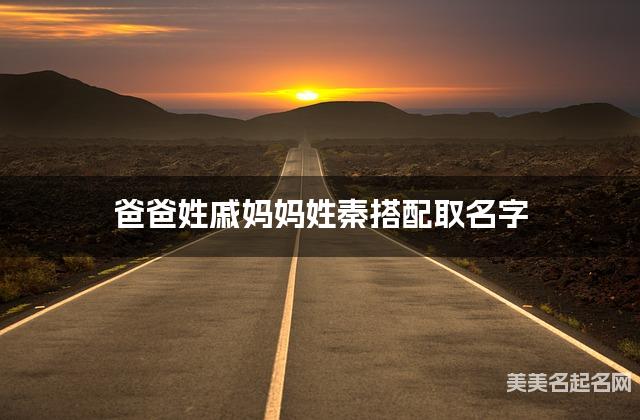 爸爸姓戚妈妈姓秦搭配取名字