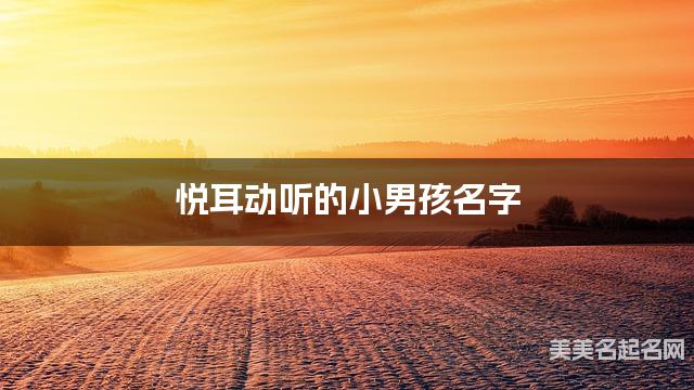 悦耳动听的小男孩名字(292个最新)