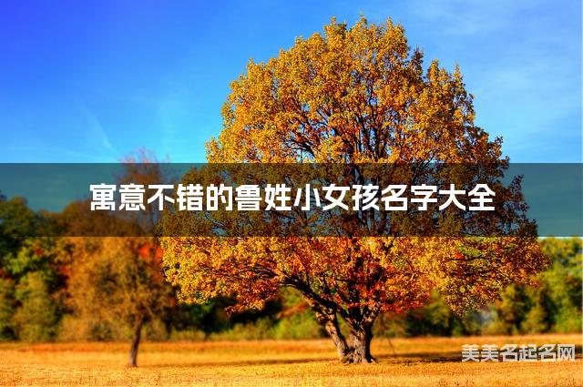 寓意不错的鲁姓小女孩名字大全 寓意不错的鲁姓小女孩名字大全