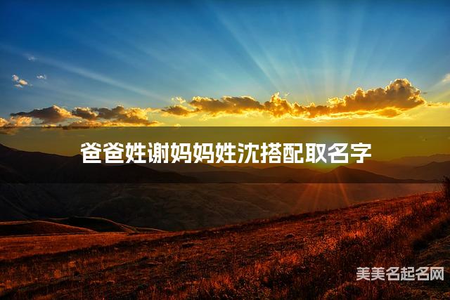 爸爸姓谢妈妈姓沈搭配取名字