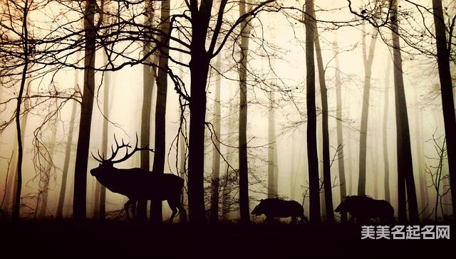 免费取名网:清新脱俗的男宝名字大全 免费取名网:清新脱俗的男宝名字大全