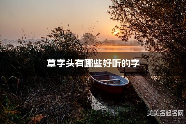 草字头有哪些好听的字,草字头的字女孩起名字