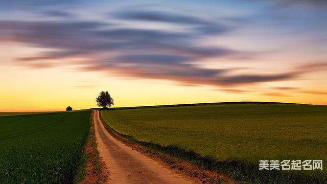 取名字大全免费查询 唐姓有哲理诗意的小男孩名字100分 取名字大全免费查询 唐姓有哲理诗意的小男孩名字100分