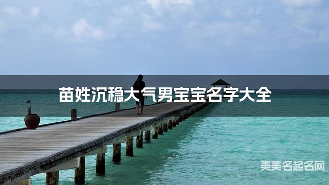 苗姓沉稳大气男宝宝名字大全