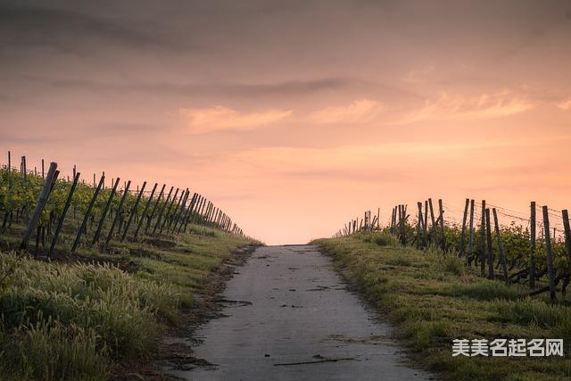 五行取名大全:2026精选带火的小女孩名字 五行取名大全:2026精选带火的小女孩名字