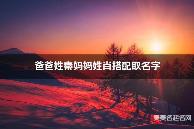 爸爸姓秦妈妈姓肖搭配取名字