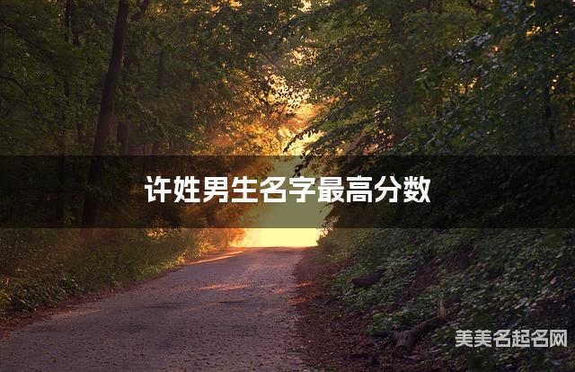 宝宝取名字大全 许姓男生名字最高分数 宝宝取名字大全 许姓男生名字最高分数
