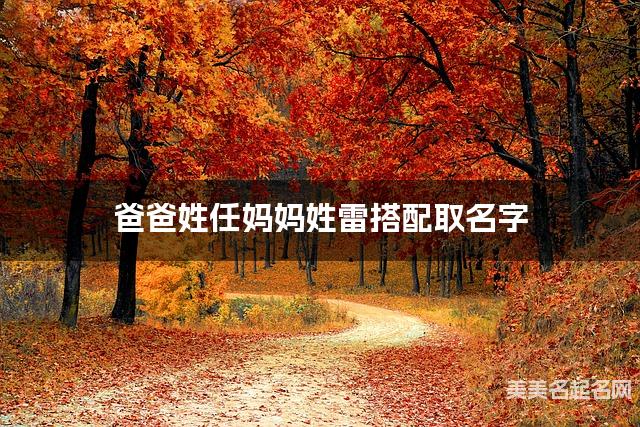 爸爸姓任妈妈姓雷搭配取名字